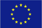 EU Flag Logo